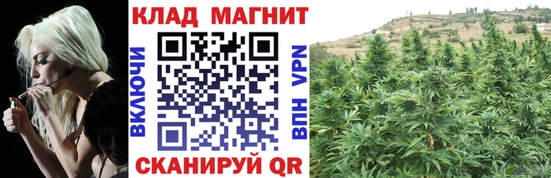 Что такое Подольск A PVP  Мефедрон  Галлюциногенные грибы  Гашиш  Амфетамин 