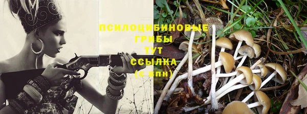 кокаин премиум Богданович