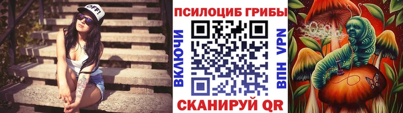 Галлюциногенные грибы прущие грибы  kraken онион  Подольск 